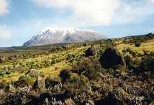 TANZANE (TREK KILIMANDJARO)